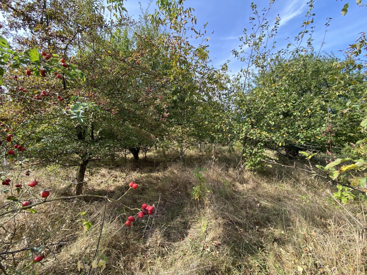 Działka budowlana Tywonia. Zdjęcie 7