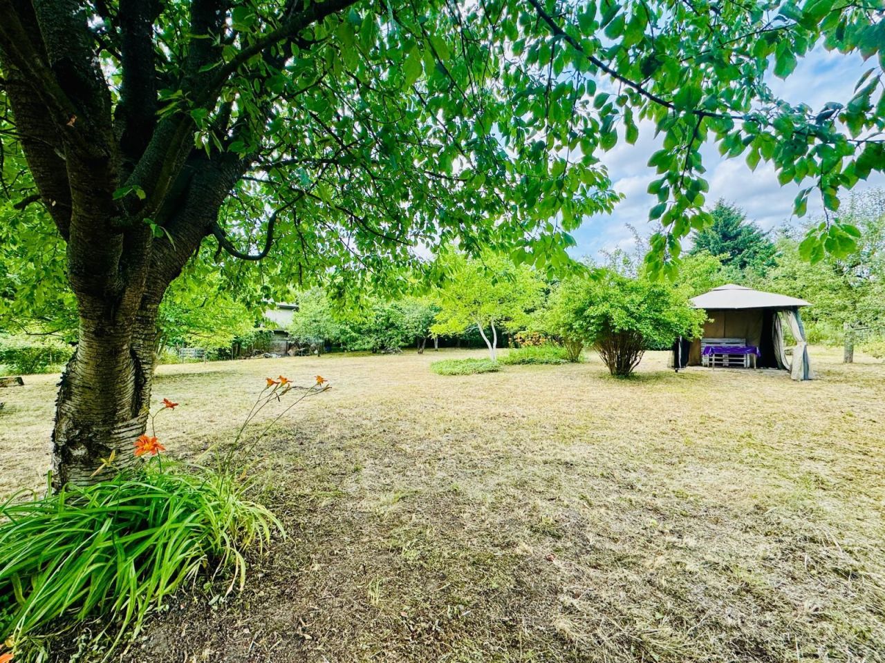 Działka rod Wschowa, al. PCK. Zdjęcie 3