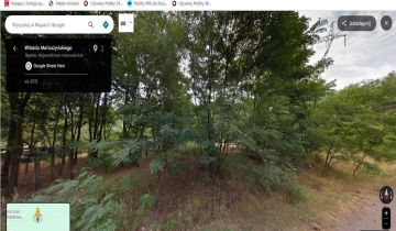 Działka leśna Kończyce-Kolonia