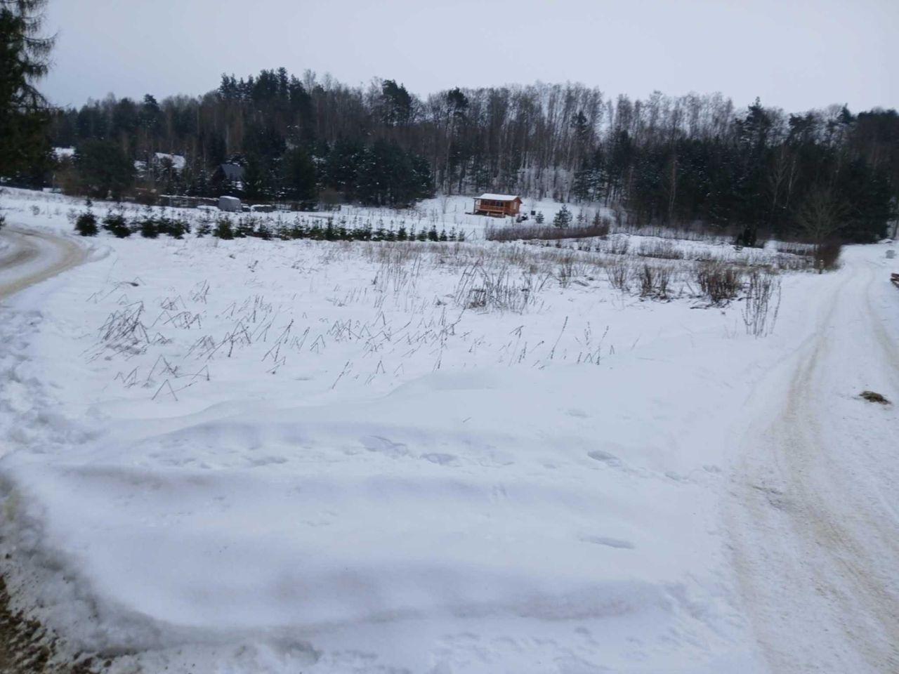 Działka rekreacyjna Lekarty. Zdjęcie 4