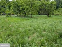 Działka rolna Mazańcowice. Zdjęcie 2