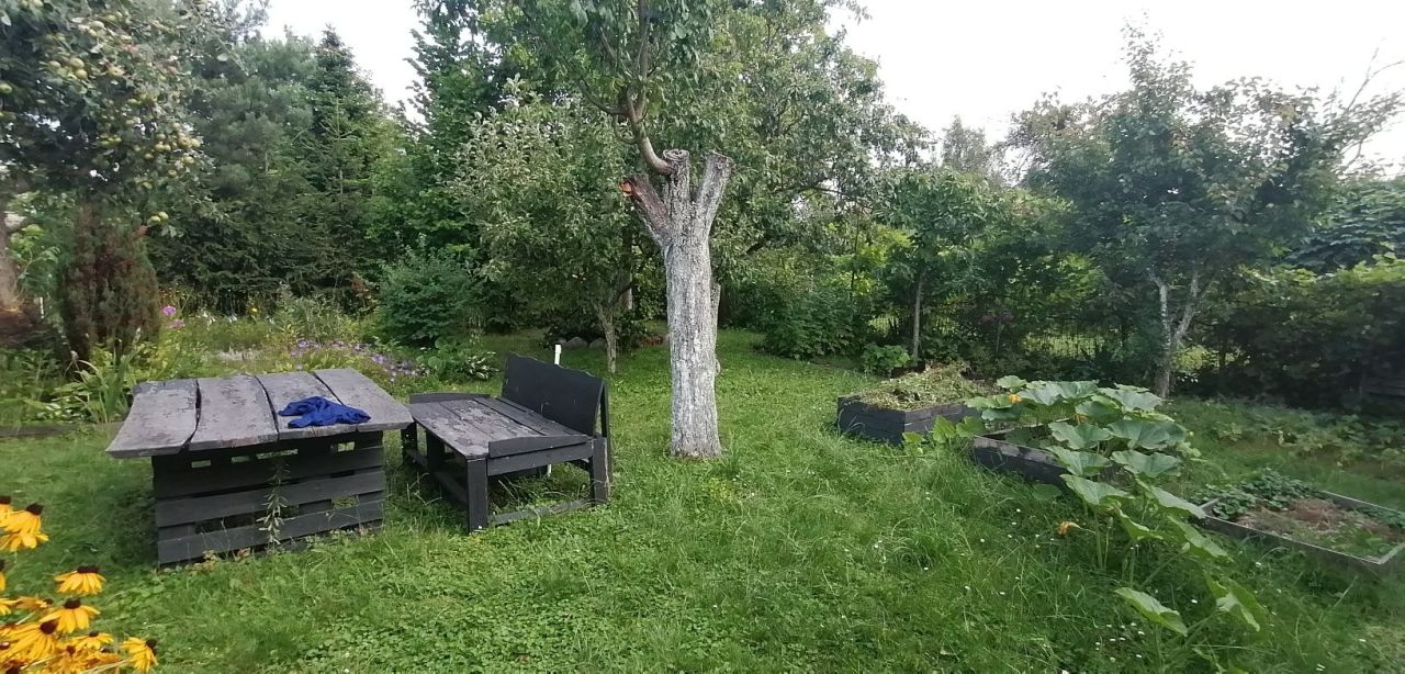 Działka rod Wrocław Stare Miasto. Zdjęcie 2