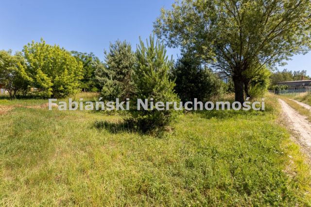 Działka budowlana Skrzynki. Zdjęcie 4