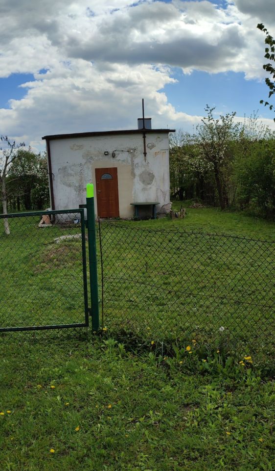 Działka rolno-budowlana Gruszczyn. Zdjęcie 3