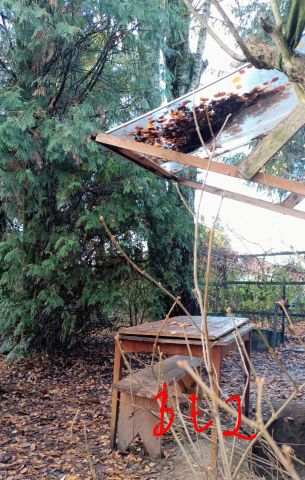 Działka rod Białystok Bagnówka, ul. Krzysztofa Pendereckiego. Zdjęcie 16