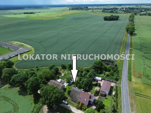 bliźniak, 2 pokoje Róża Wielka. Zdjęcie 2