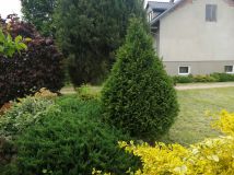 gospodarstwo Ładzyń. Zdjęcie 4