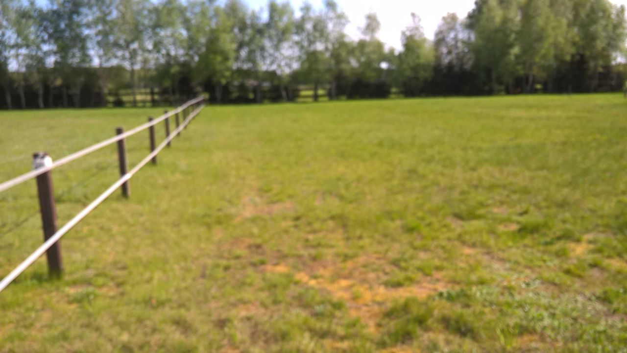 Działka budowlana Kucbork. Zdjęcie 5