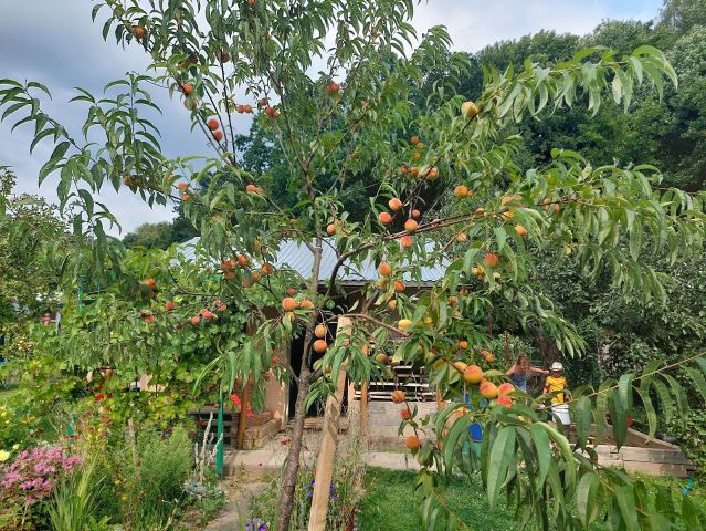 Działka rod Sanok Biała Góra, ul. Biała Góra. Zdjęcie 1