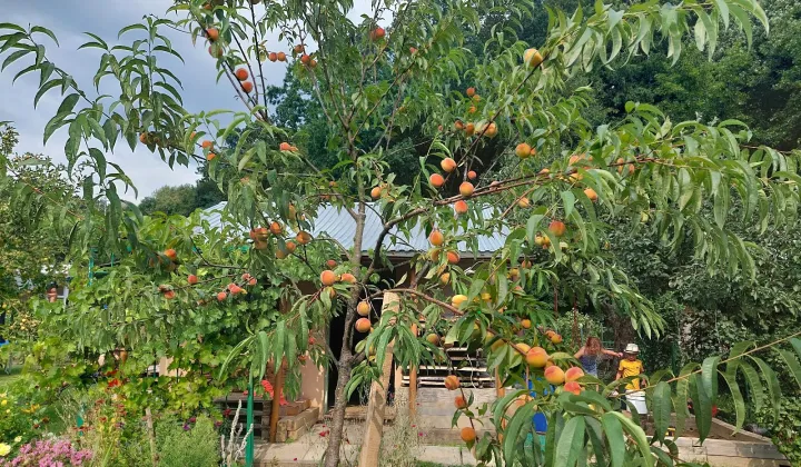 Działka rod Sanok Biała Góra, ul. Biała Góra