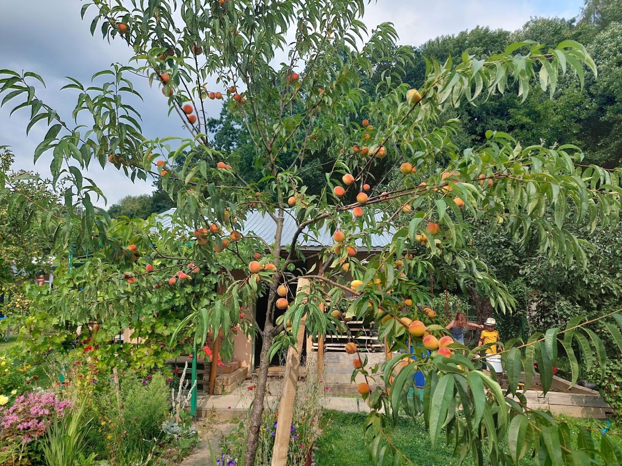 Działka rod Sanok Biała Góra, ul. Biała Góra