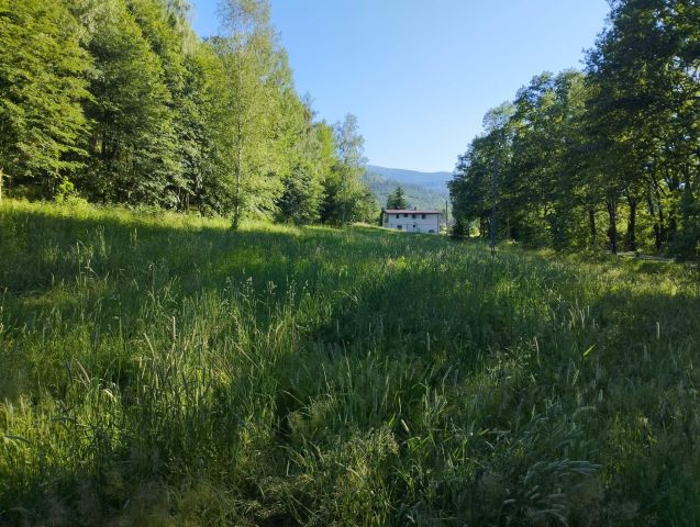 Działka budowlana Głębock. Zdjęcie 1