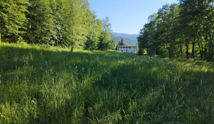 Działka budowlana Głębock