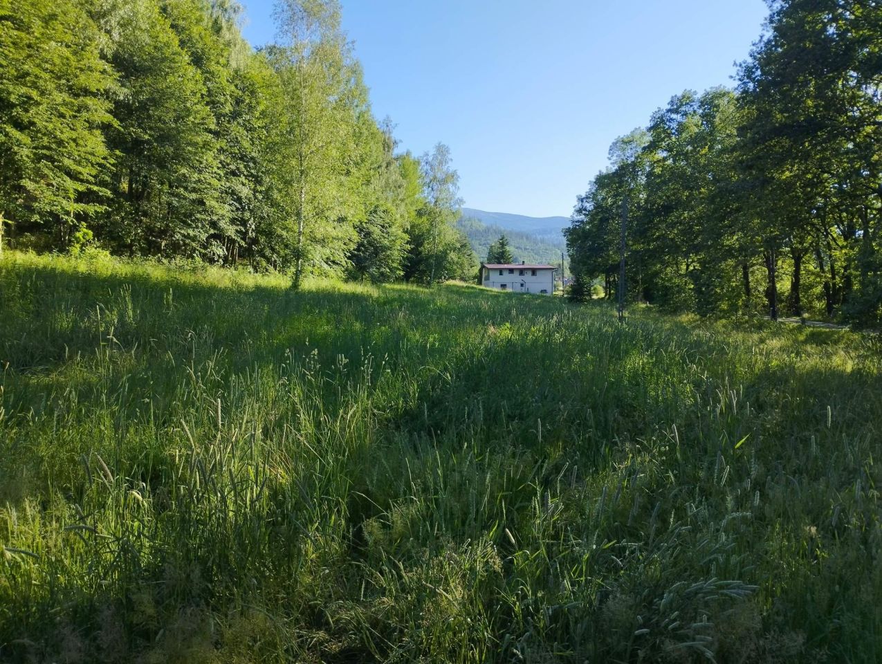 Działka budowlana Głębock