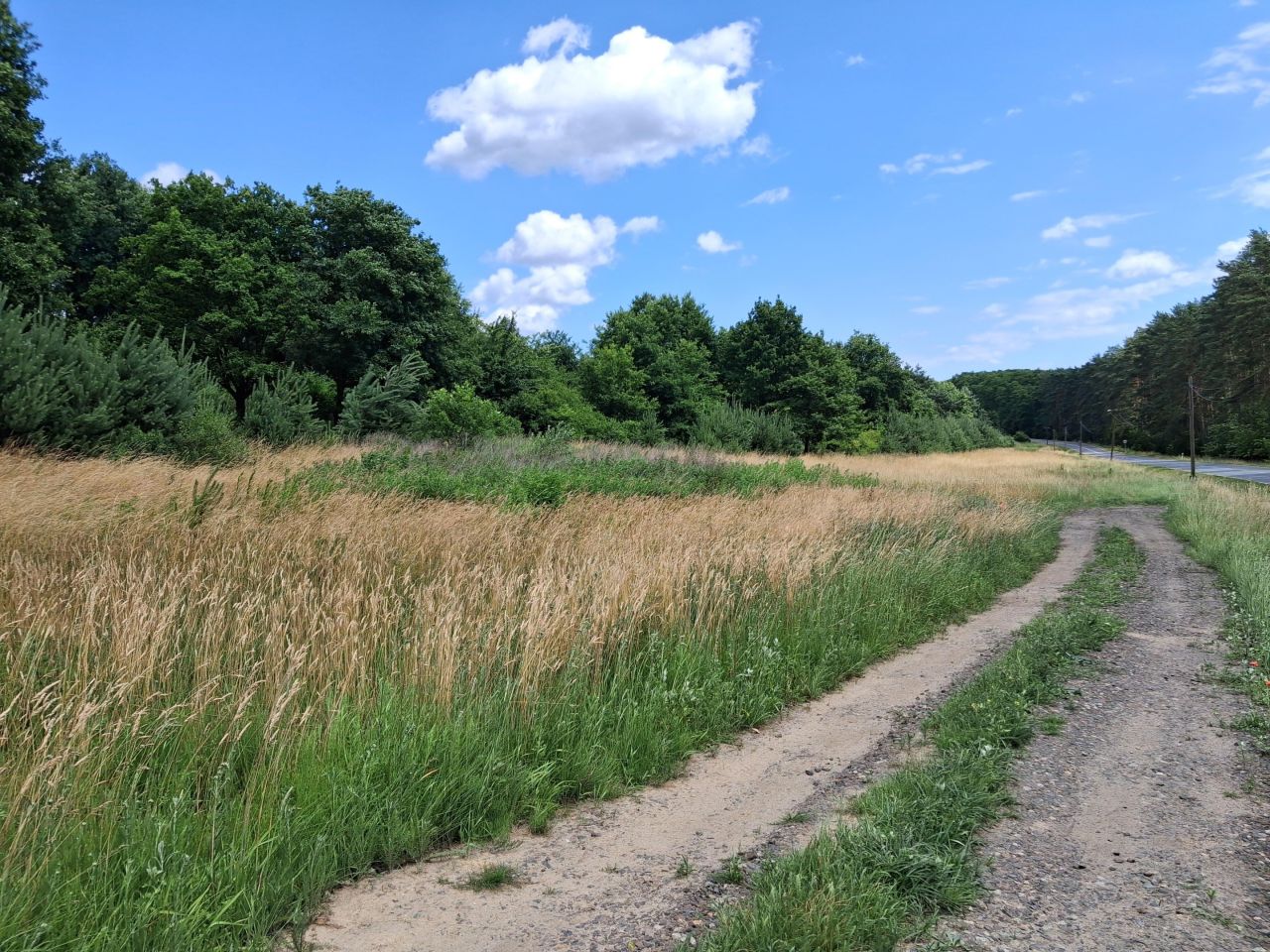 Działka budowlana Krzelów Młoty. Zdjęcie 3