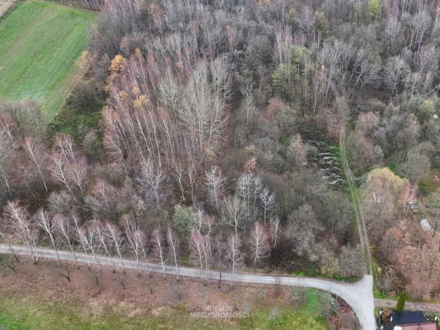 Działka inwestycyjna Rybna. Zdjęcie 6