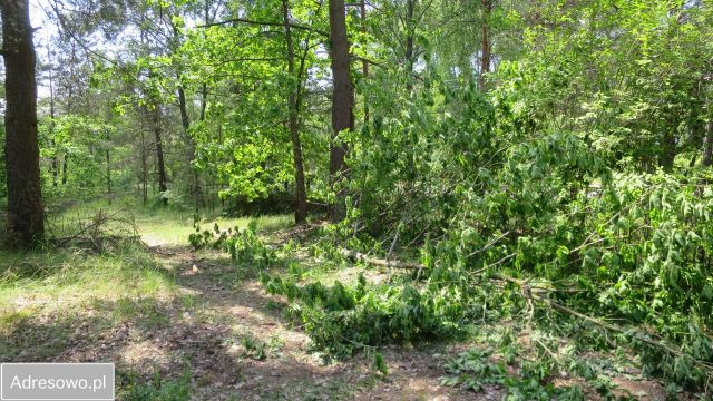 Działka rekreacyjna Łupawsko. Zdjęcie 1