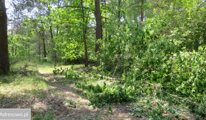 Działka rekreacyjna Łupawsko