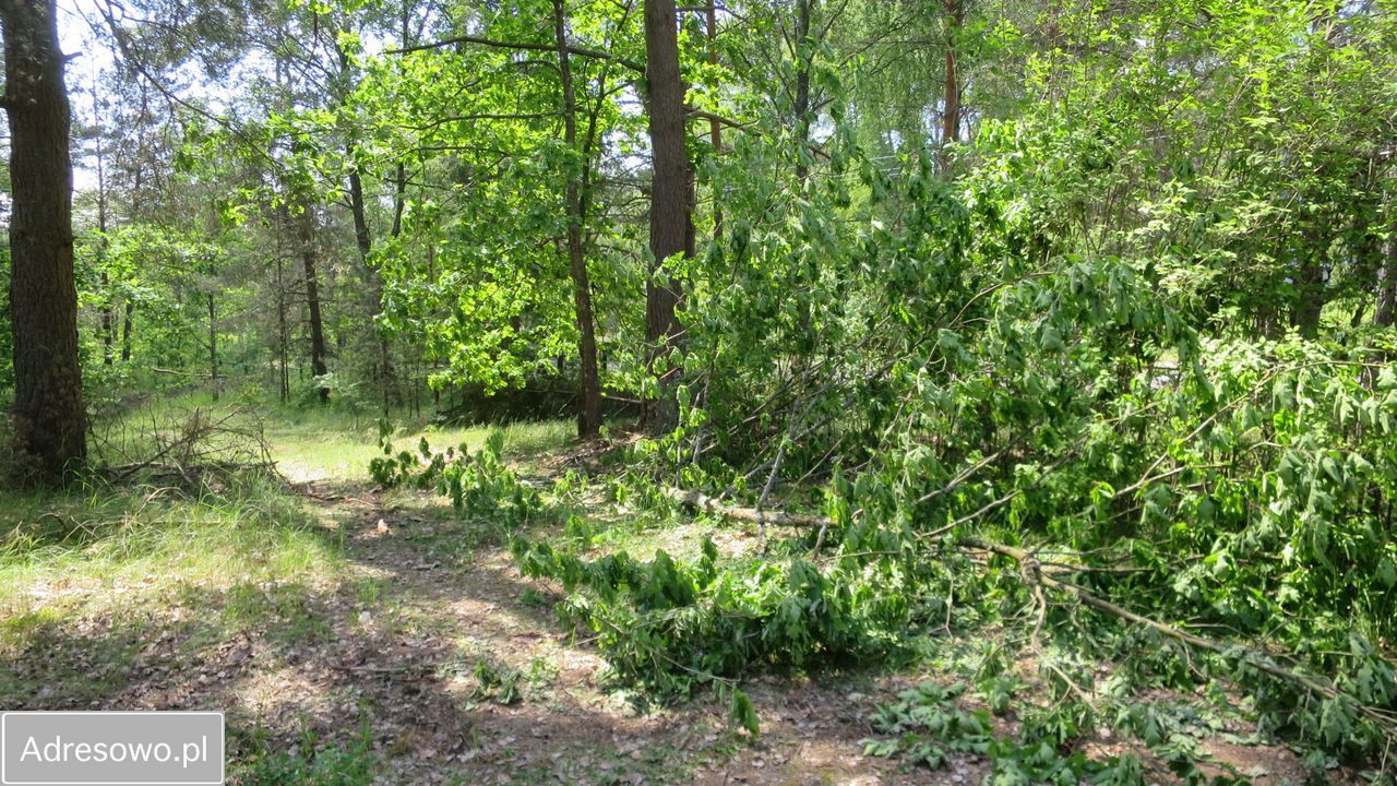Działka rekreacyjna Łupawsko. Zdjęcie 1