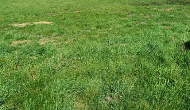 Działka budowlana Gorzeń