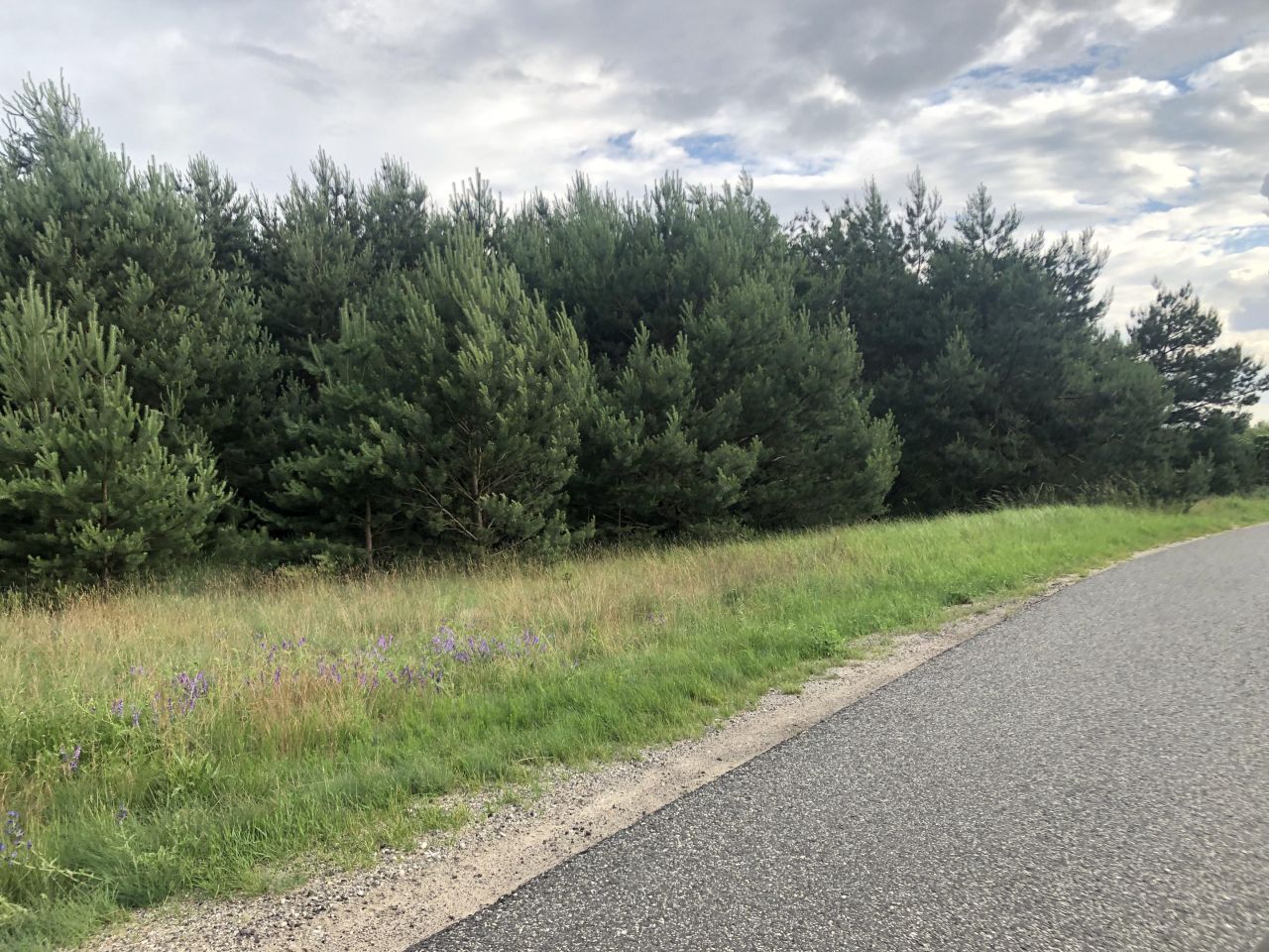 Działka budowlana Kolankowo, ul. Sielanka. Zdjęcie 5