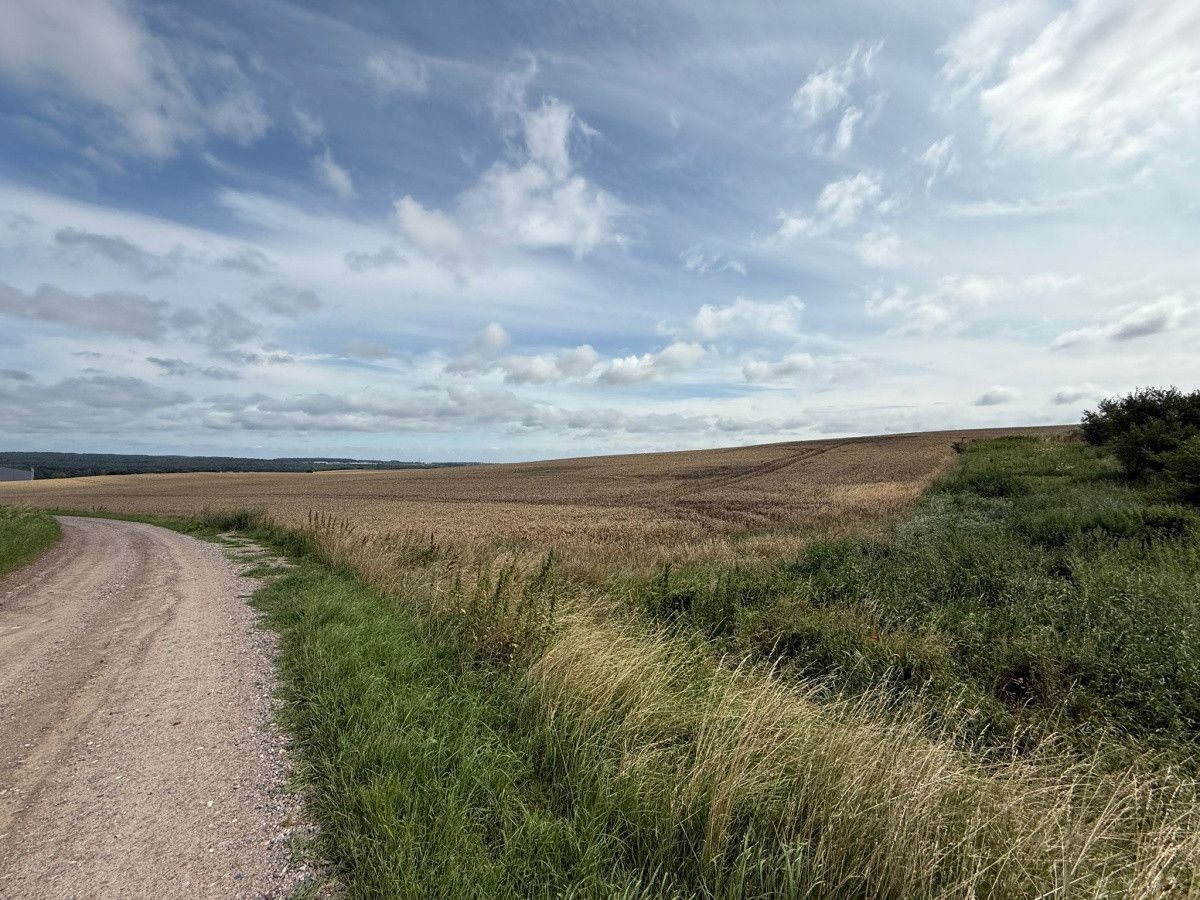 Działka budowlana Bielkówko. Zdjęcie 5