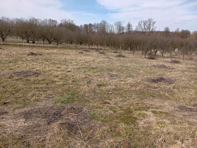 Działka budowlana Brochocin, Brak. Zdjęcie 1