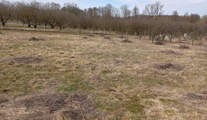 Działka budowlana Brochocin, Brak