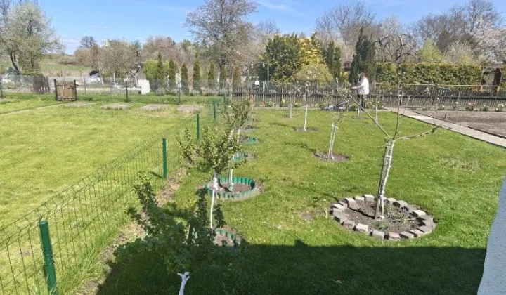 Działka rod Międzyrzecz