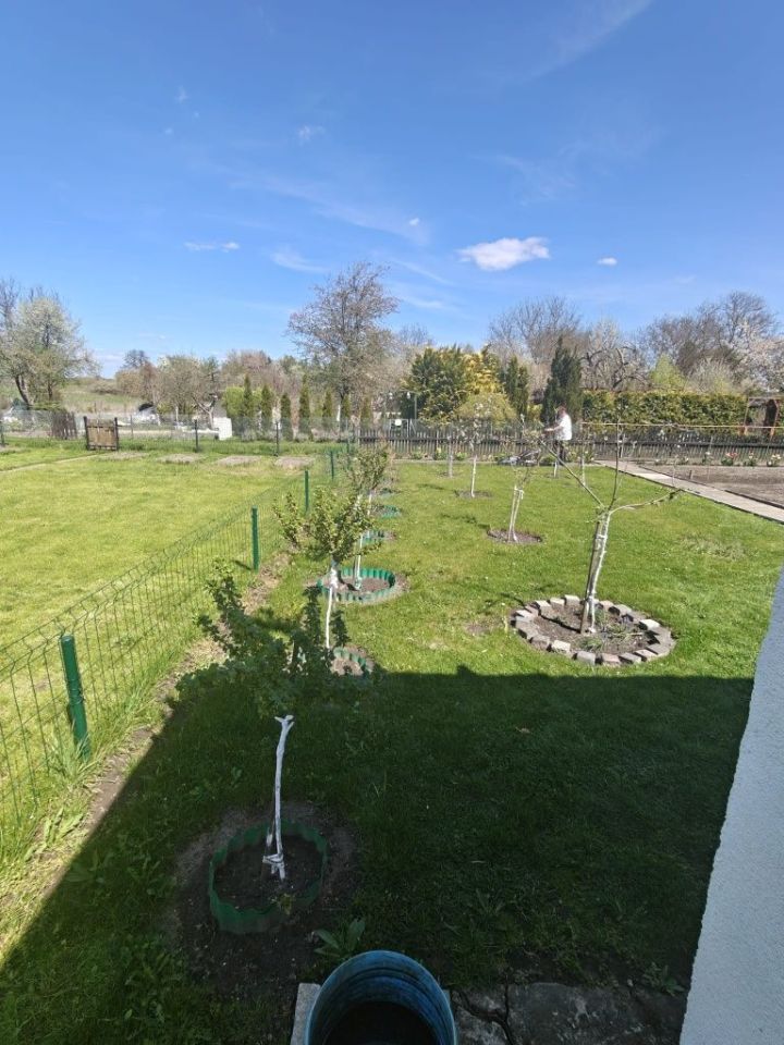 Działka rod Międzyrzecz. Zdjęcie 1