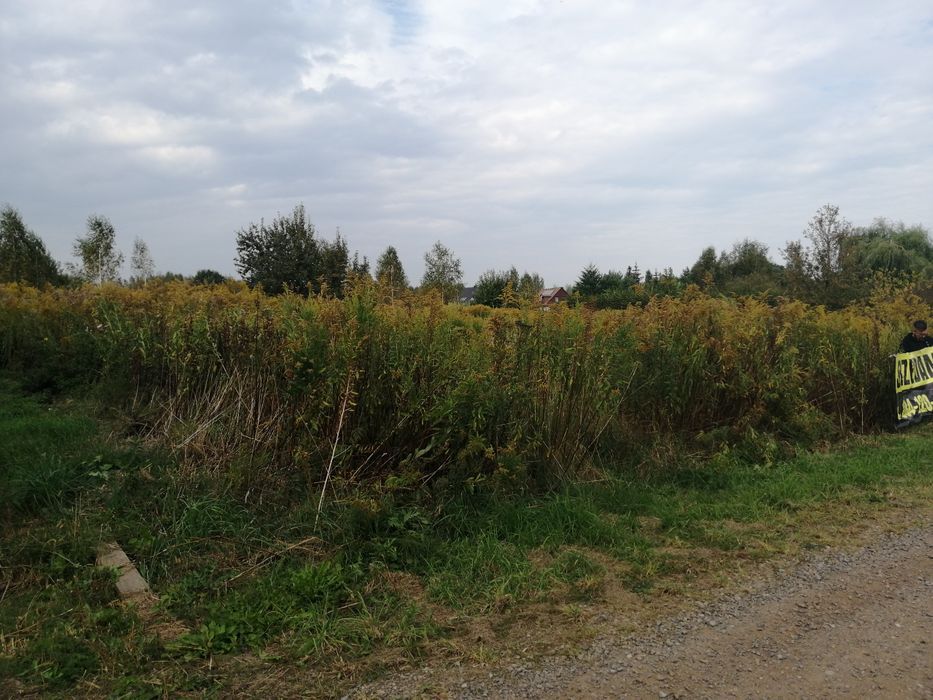 Działka budowlana Ustanów, ul. Konwaliowa. Zdjęcie 1