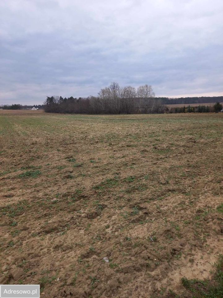 Działka budowlana Wąsosz. Zdjęcie 4