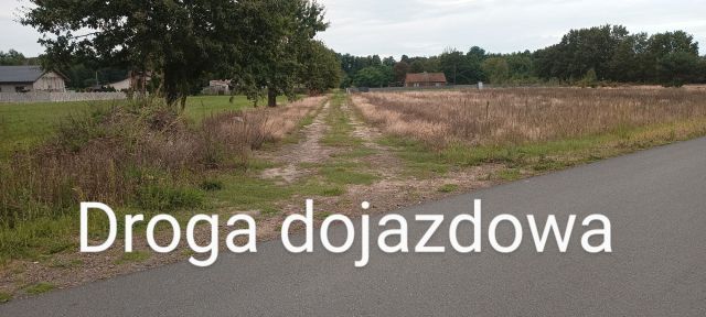 Działka rolna Kuciny. Zdjęcie 1