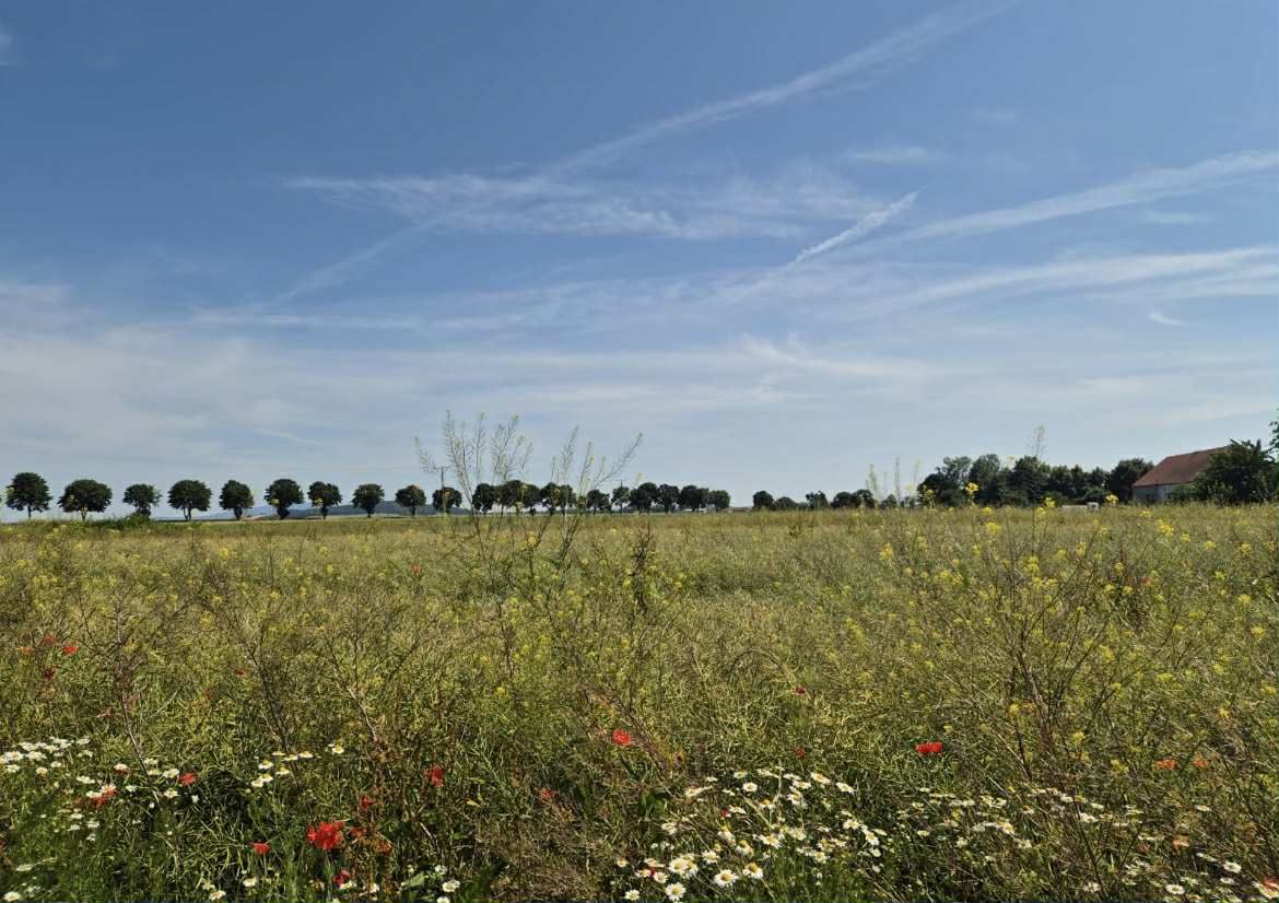 Działka budowlana Gościsław. Zdjęcie 3