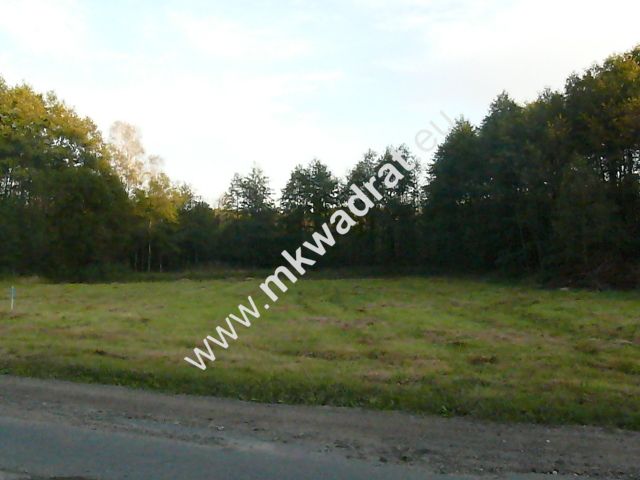 Działka budowlana Słubica B. Zdjęcie 1