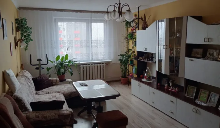 Mieszkanie 3-pokojowe Świętochłowice Centrum, ul. Polna