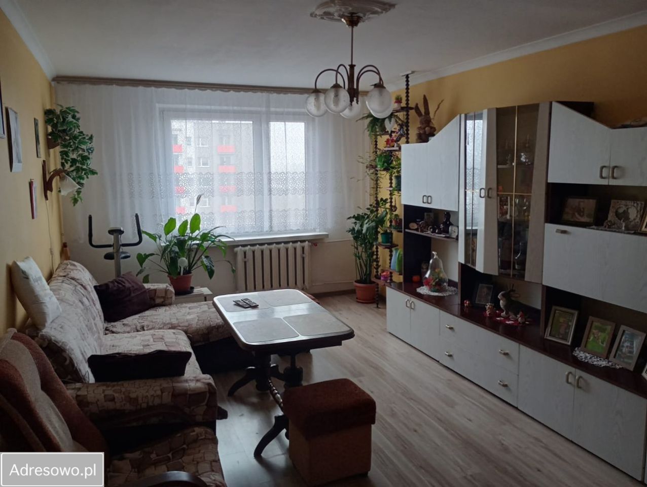 Mieszkanie 3-pokojowe Świętochłowice Centrum, ul. Polna. Zdjęcie 1