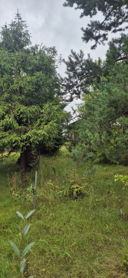 Działka rod Gdańsk Brętowo. Zdjęcie 4