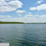 Działka rolna Targowo. Zdjęcie 3