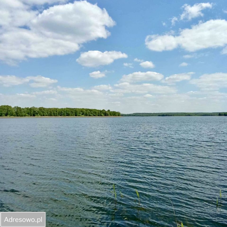 Działka rolna Targowo. Zdjęcie 4