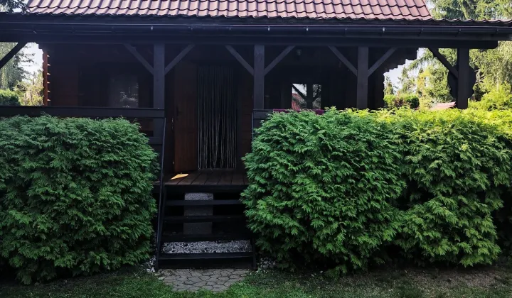 Działka rekreacyjna Rogóźno