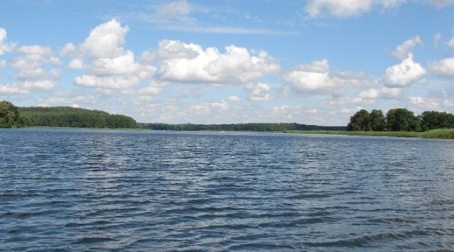 Działka budowlana Dąbrowica. Zdjęcie 1