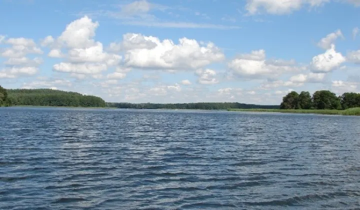 Działka budowlana Dąbrowica