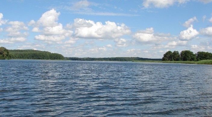 Działka budowlana Dąbrowica. Zdjęcie 1