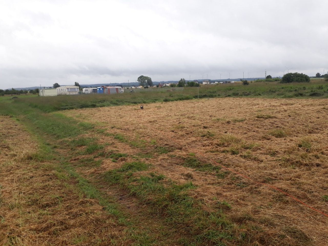 Działka rolna Rusinowo. Zdjęcie 2