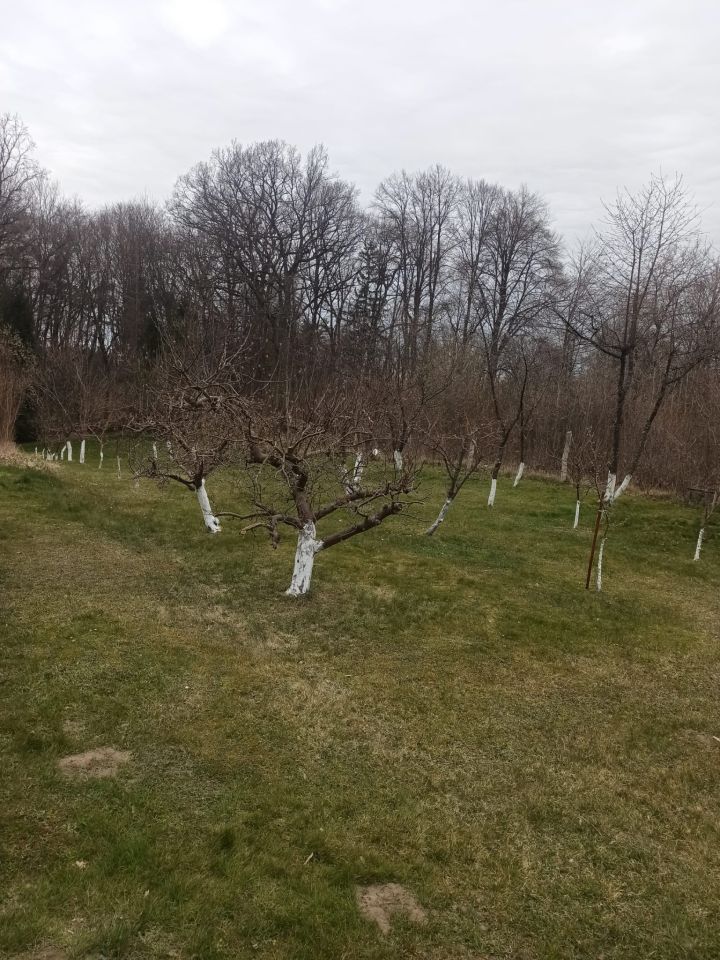 Mieszkanie 4-pokojowe Podgórki. Zdjęcie 8