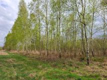 Działka rolna Biały Bór. Zdjęcie 1