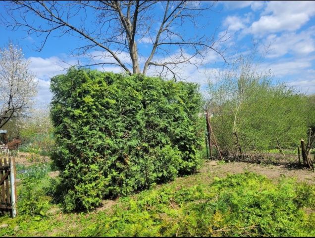 Działka rod Przemyśl Wilcze, ul. Przemysława. Zdjęcie 1