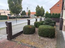 dom wolnostojący Golina. Zdjęcie 2