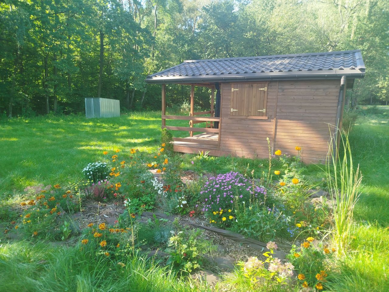 Działka siedliskowa Emilianów. Zdjęcie 3